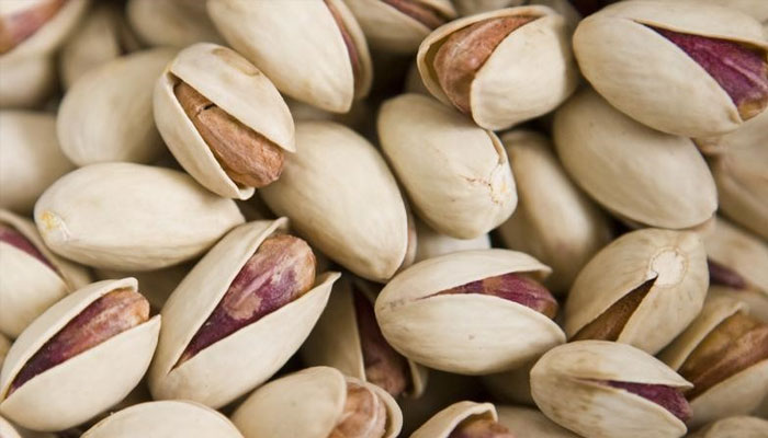 Pistachios are seen after sorting at a processing factory in Rafsanjan, 1,000 kilometres southeast of Tehran September 23, 2008. —Reuters