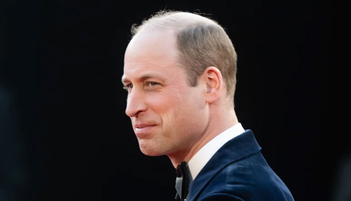 Prince William cannot cope with Prince Harry pressure amid work load