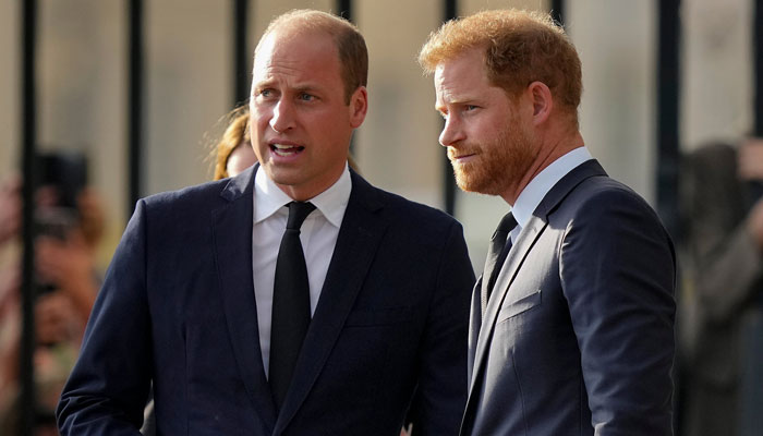 Prince William becoming King would increase problems for Prince Harry UK return