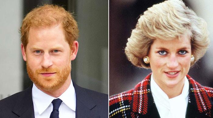 Prince Harry says world cared more about Princess Diana security than his Prince Harry says world cared more about Princess Diana security than his
