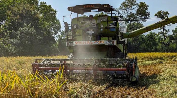India's basmati rice exports to fall as Pakistan's surge - Vimarsana News
