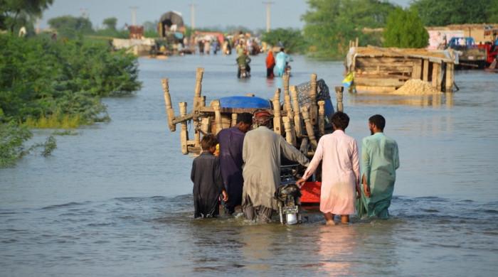 Uniting theory and action for climate