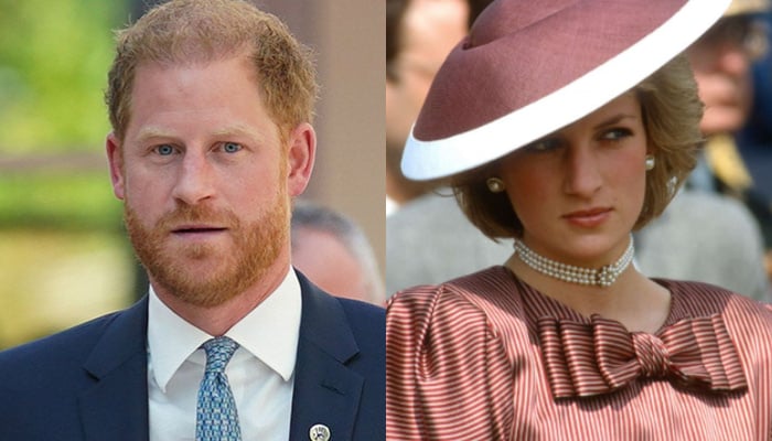 Prince Harry is being slammed for assuming hes in more danger than mom Diana was