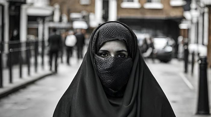 Diaspora: An Afghan woman's fight to reunite with her family