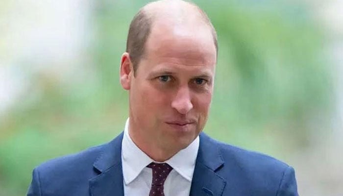 Prince William slammed for ‘plunging off the deep end’, staging freak out’
