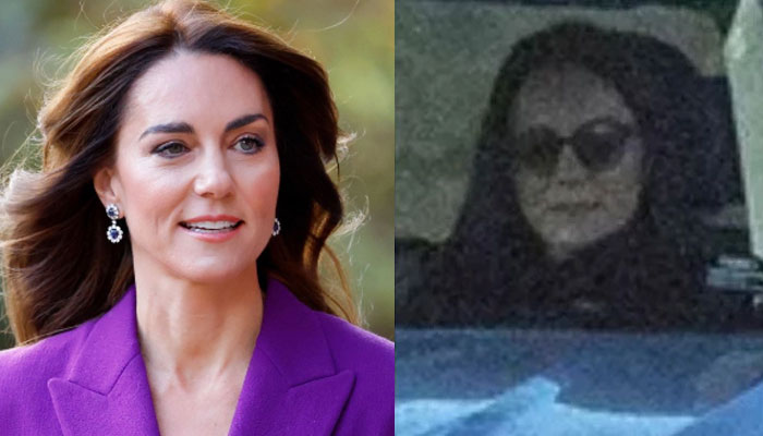 Kate Middleton’s photo was released on purpose by Palace?