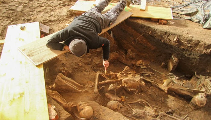 Archaeologists had to work from improvised bridges due to the high density of burials. —In Terra Veritas
