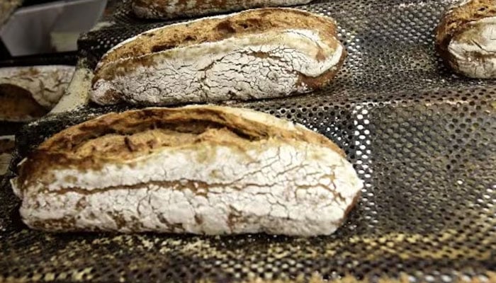 The bread was found to be made from wild cereals like barley, einkorn or oats along with tubers from an aquatic papyrus relative. —Reuters/File