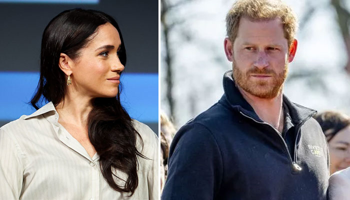 Meghan Markle fears Prince Harrys future plans