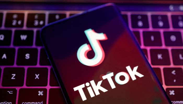 The TikTok app logo is seen in this illustration taken on August 22, 2022. — Reuters