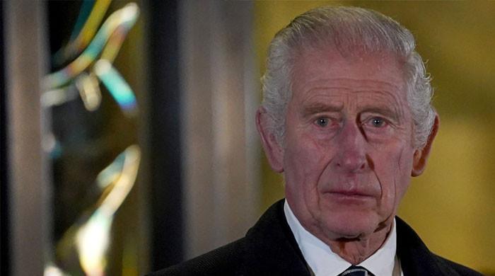 Buckingham Palace branded a snake pit