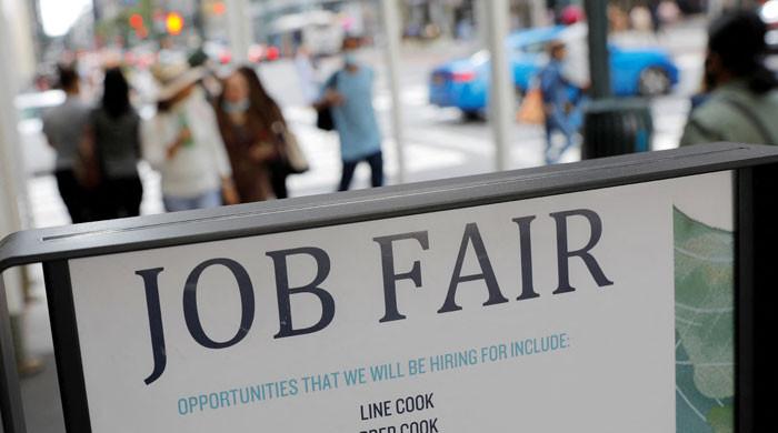 What is global dream job in 2024? Is it pilot, model, teacher or other?