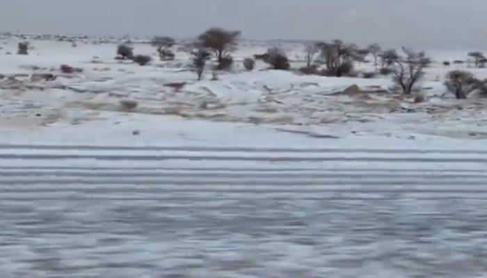 Afif desert, west of Riyadh, covered in snow in this still taken from a video. — X/@sulimanalnafea