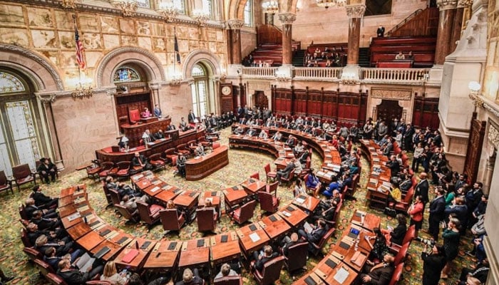 A view of theNew York State Assembly. — Photo by author