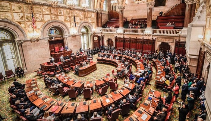 A view of the New York State Assembly. — Photo by author