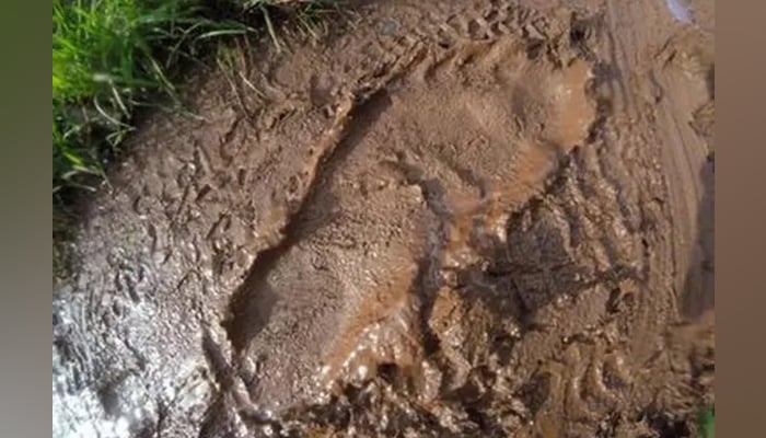 This image shows a large footprint on a muddy war. — Metro UK