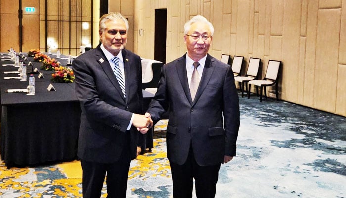 Foreign Minister Ishaq Dar (left) meets Chinese Vice-Premier Zhang Guoqing in Brussels on March 22, 2024. — APP