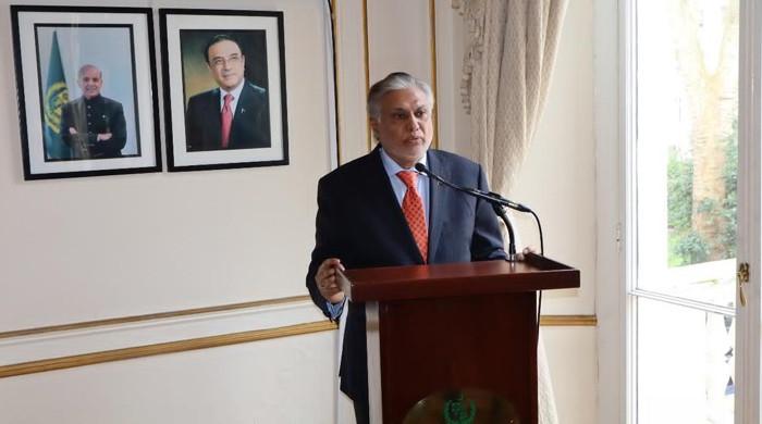 Pakistan to mull restoring trade ties with India: FM Dar