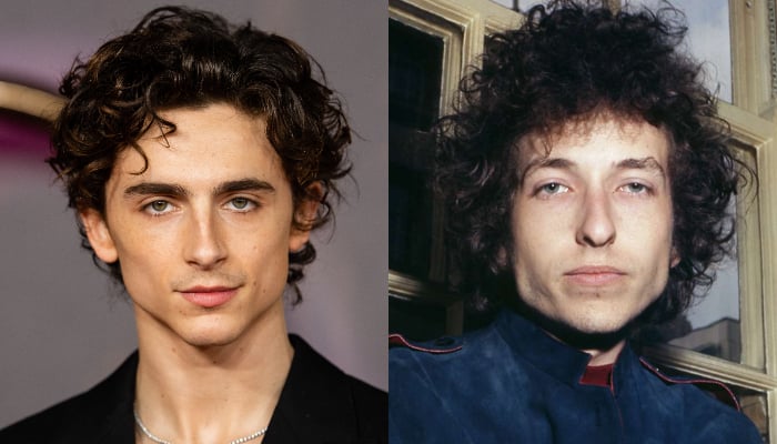 Timothee Chalamet is playing Bob Dylan in upcoming biopic A Complete Unknown