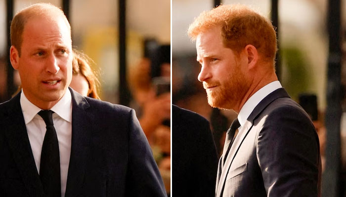 Prince Harry, Prince William reach major relationship milestone