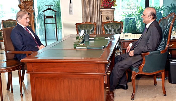 Prime Minister Shehbaz Sharif calls on President Asif Ali Zardari. — X/MediaCellPPP