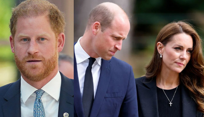 Prince Harry is looking for a proper apology from Prince William and Princess Kate