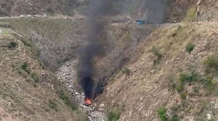 Woman among 5 Chinese engineers killed in Shangla suicide attack