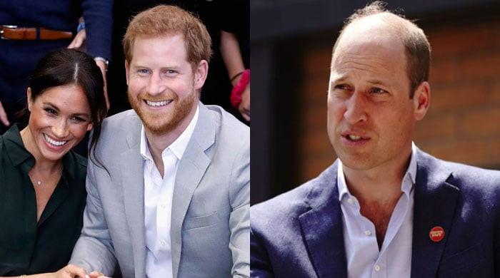Meghan Markle never ‘original factor' for Prince Harry, William rift