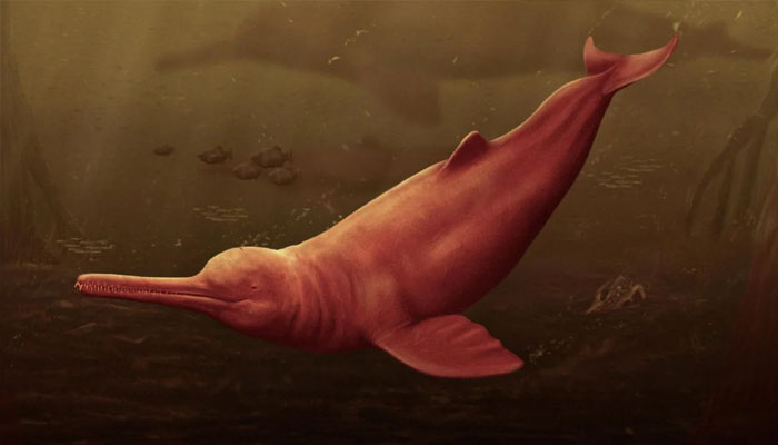 Ancient dolphin fossil stuns scientists with unprecedented size.—CNN