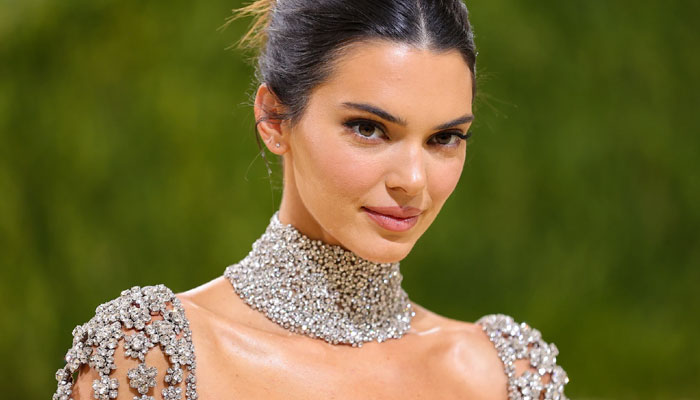 Kendall Jenner steps out to wow onlookers
