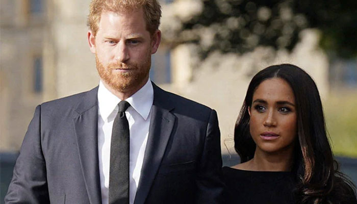 Prince Harry, Meghan Markle’s facing an overwhelming pressure of royal roles
