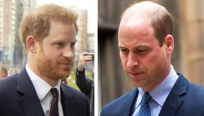 Prince Williams plans for Prince Harry unearthed amid Kate Middletons cancer