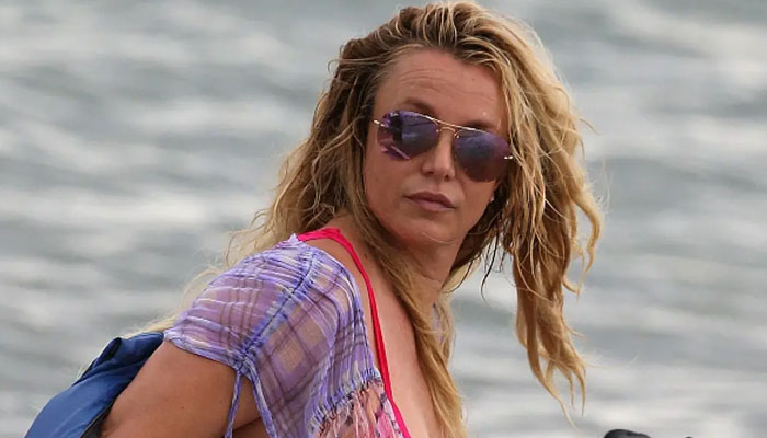 Britney Spears gives vacation recap in lengthy online post
