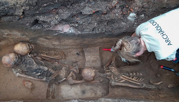 This image shows an archeologist excavating skeletons in Nuremberg, southern Germany. —  Terra Veritas via CNN