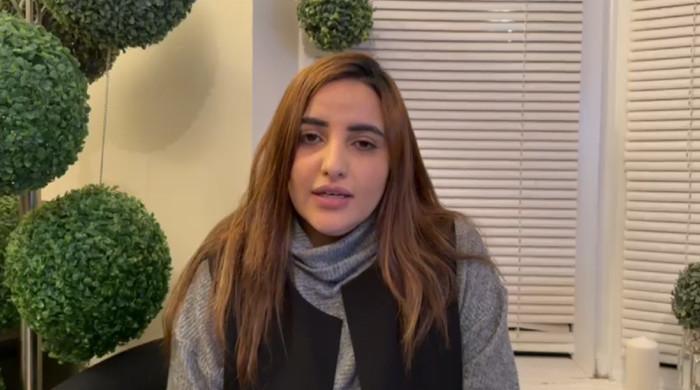 TikTok star Hareem Shah sets eyes on UK Parliament - Vimarsana News