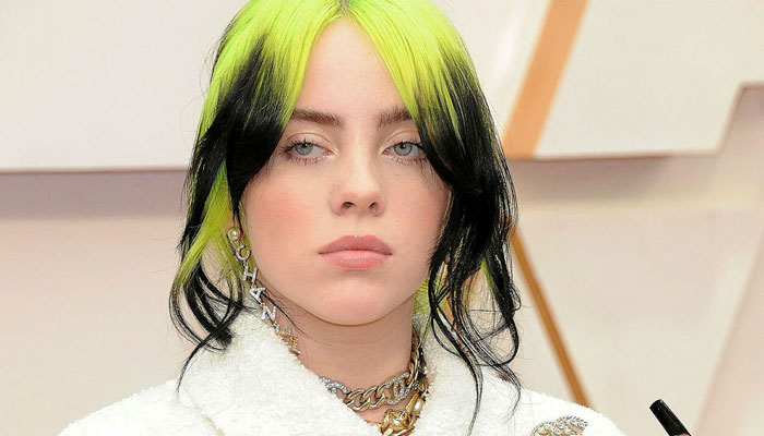 Billie Eilish criticizes big artist for wasteful packaging of albums