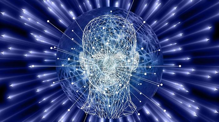 A basic guide to understanding 4 common neurodegenerative diseases