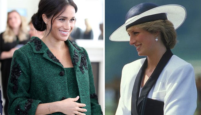Meghan Markle views herself as Princess Dianas heir