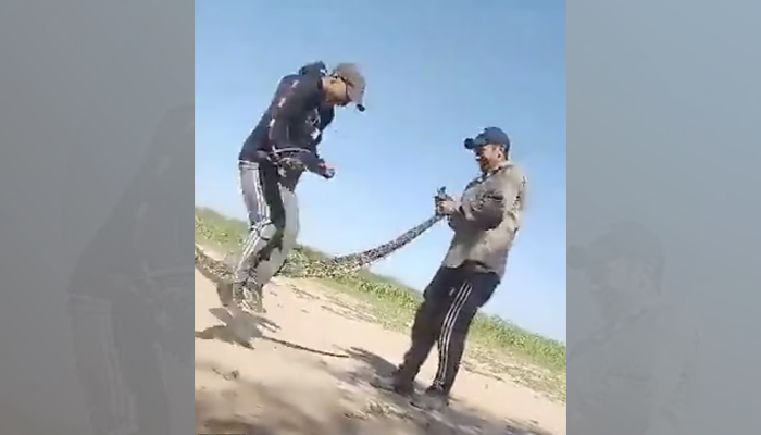 This screengrab taken from a social media video shows young Argentinians using a snake as an escape rope. — Jam Press via Daily Mail