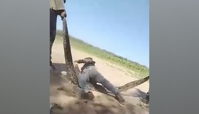 This screengrab taken from a social media video shows young Argentinians using a snake as an escape rope. — Jam Press via Daily Mail