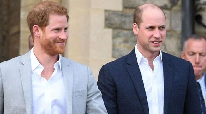 Prince Harry better heir to British throne than Prince William: Psychic - Vimarsana News