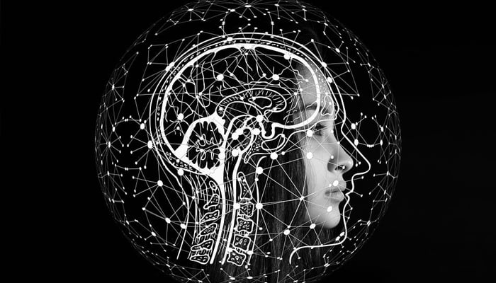 A comprehensive guide to understanding schizophrenia