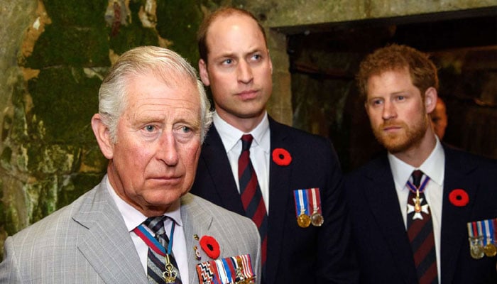 Prince Harry out of excuses to ditch meeting with King Charles, William