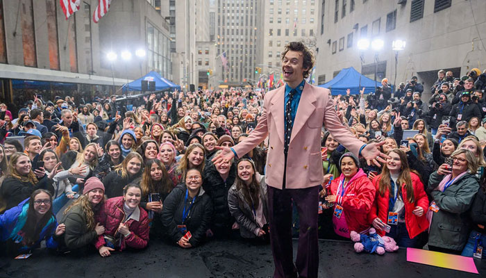 Harry Styles craze floods interest in his village