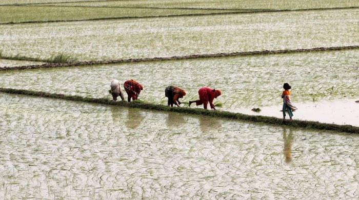 Crops at risk as IRSA warns of up to 30% water shortage in Kharif season - Vimarsana News