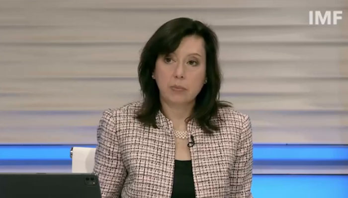 In this screengrab, IMF’s Communications Director Julie Kozack can be seen addressing a press briefing. — IMF website