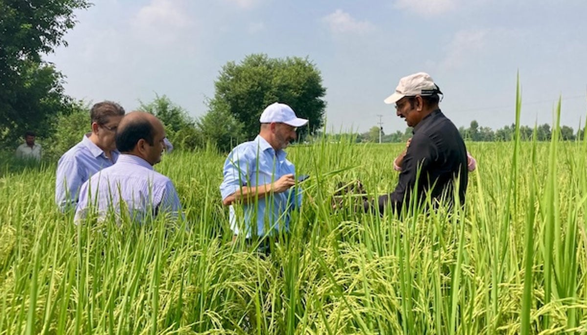 Sultan Ahmed Bhatti discussing his farming techniques with visitors. — Sukheki farms of Sultan Ahmed Bhatti