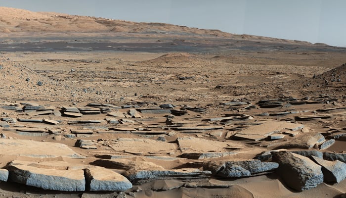 Elon Musk intends to land humans on Mars with his Starship Rocket. — NASA/JPL-Caltech