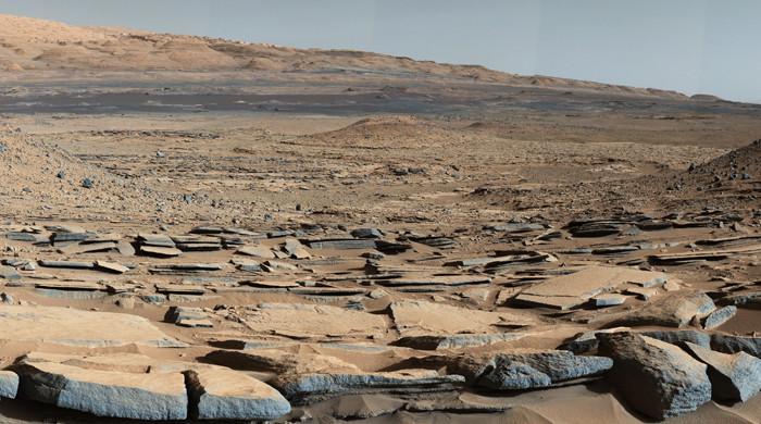 New findings reveal habitability on Mars - Vimarsana News