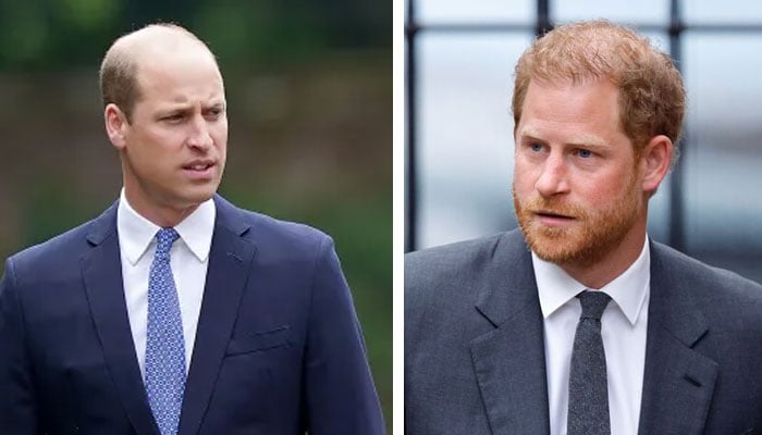 Prince William, Harry snubbed ‘loyalty to Diana on King Charles wedding?